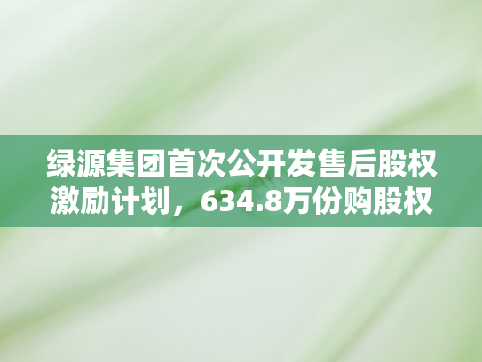 绿源集团首次公开发售后股权激励计划，634.8万份购股权背后的战略布局
