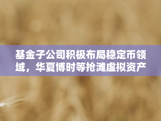 基金子公司积极布局稳定币领域，华夏博时等抢滩虚拟资产人才争夺战火热