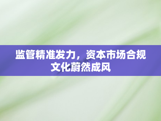 监管精准发力，资本市场合规文化蔚然成风