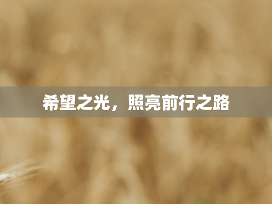 希望之光，照亮前行之路