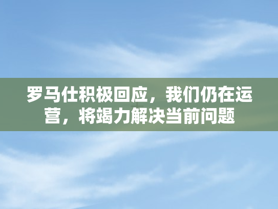 罗马仕积极回应，我们仍在运营	，将竭力解决当前问题