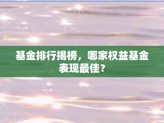 基金排行揭榜，哪家权益基金表现最佳？
