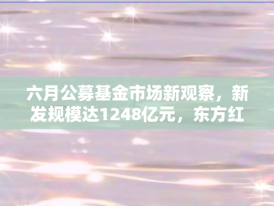 六月公募基金市场新观察，新发规模达1248亿元	，东方红资管与天弘基金领跑
