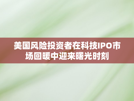 美国风险投资者在科技IPO市场回暖中迎来曙光时刻