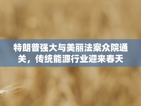 特朗普强大与美丽法案众院通关，传统能源行业迎来春天