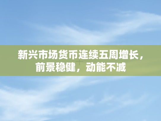 新兴市场货币连续五周增长，前景稳健	，动能不减