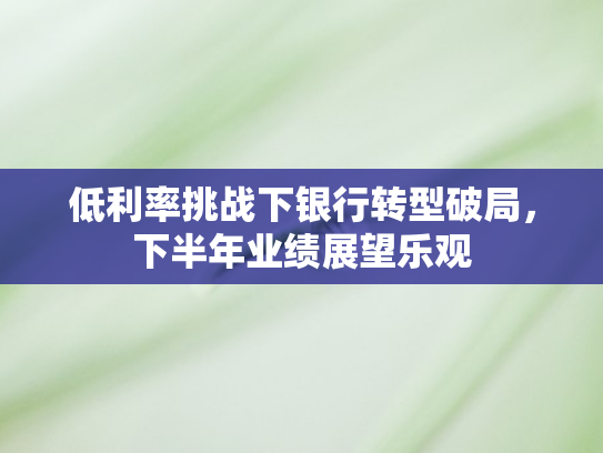 低利率挑战下银行转型破局，下半年业绩展望乐观