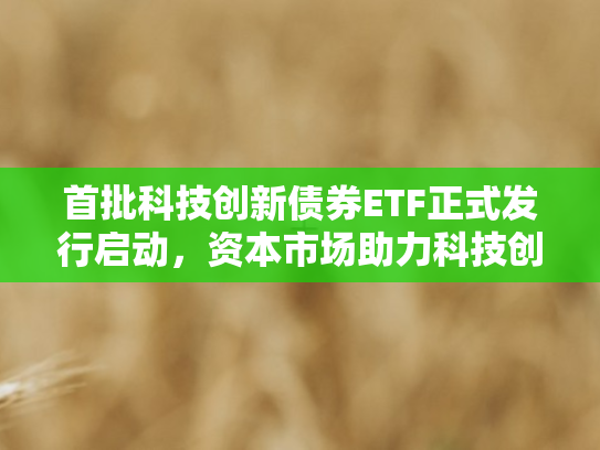 首批科技创新债券ETF正式发行启动，资本市场助力科技创新新引擎