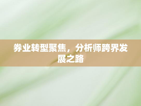 券业转型聚焦	，分析师跨界发展之路