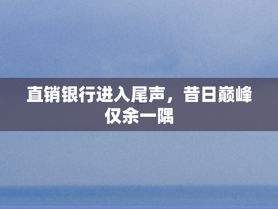 直销银行进入尾声，昔日巅峰仅余一隅