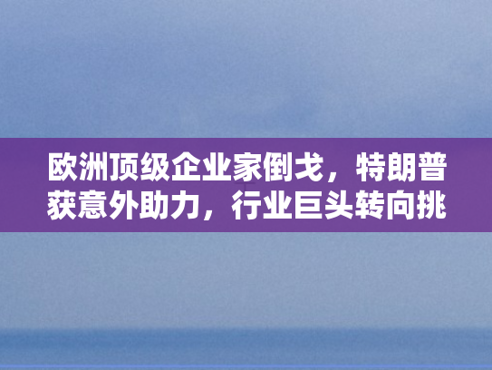 欧洲顶级企业家倒戈	，特朗普获意外助力，行业巨头转向挑战欧盟强硬路线